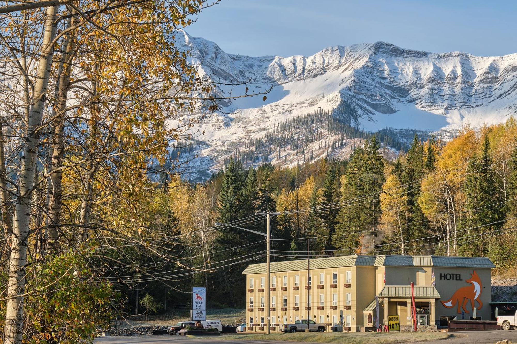 Fernie Fox Hotel Exteriör bild